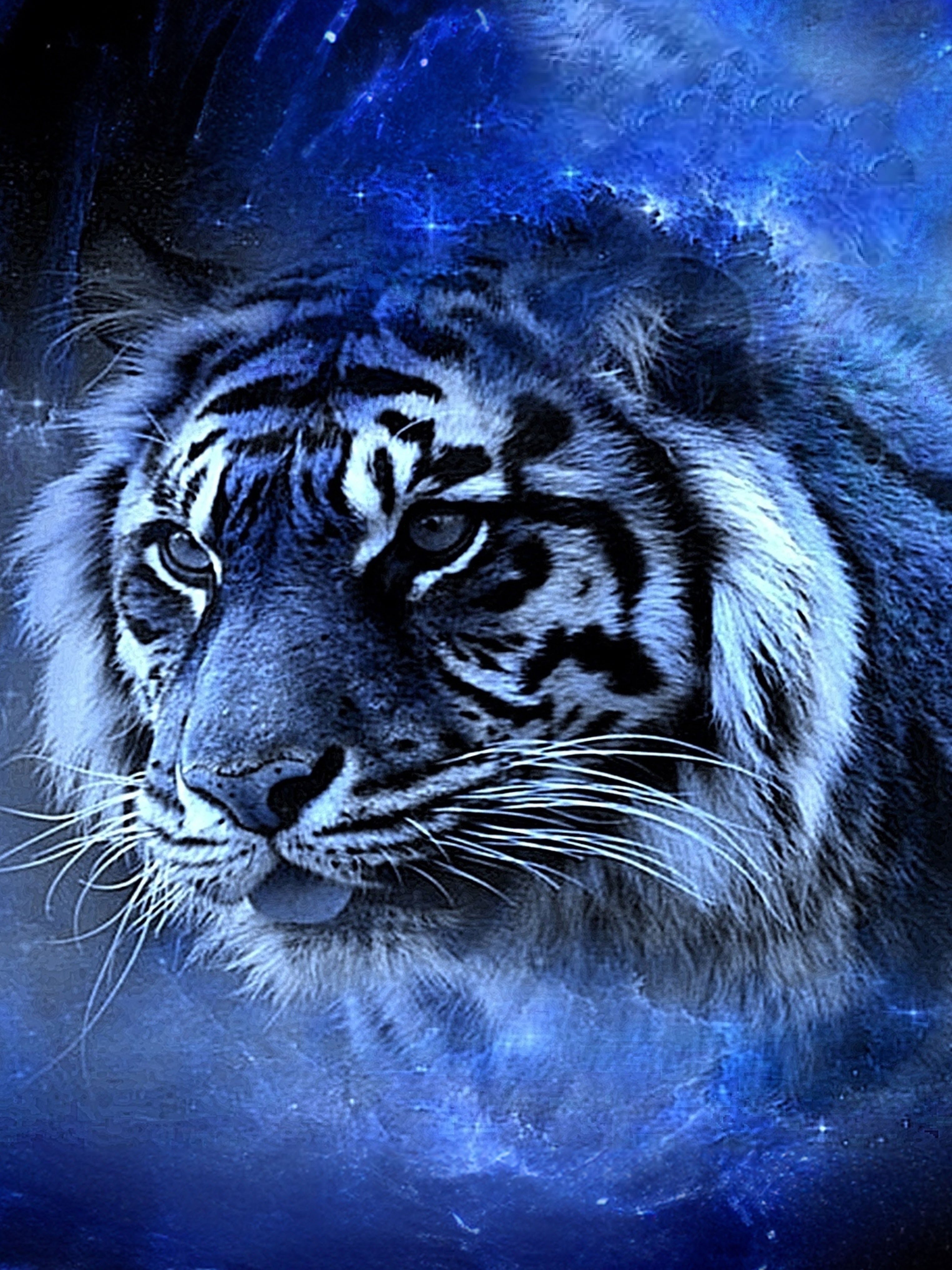 men' white tiger print t shirt casual round neck - Temu