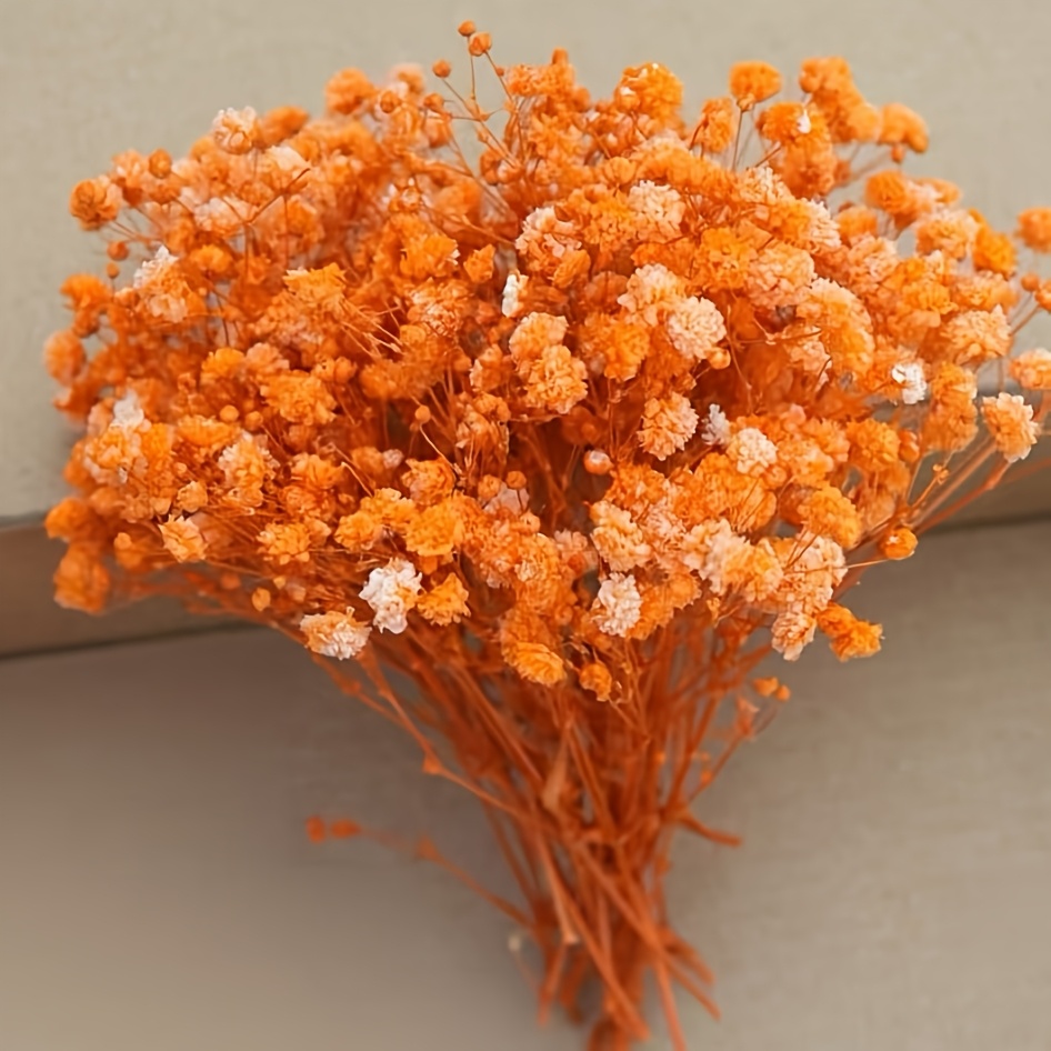 TEMU Fiori Artificiali Decorativi Gipsofila Autunnale , Adatti per Uso Interno ed Esterno, Camera da Letto e Soggiorno, Ornamenti da Tavolo,