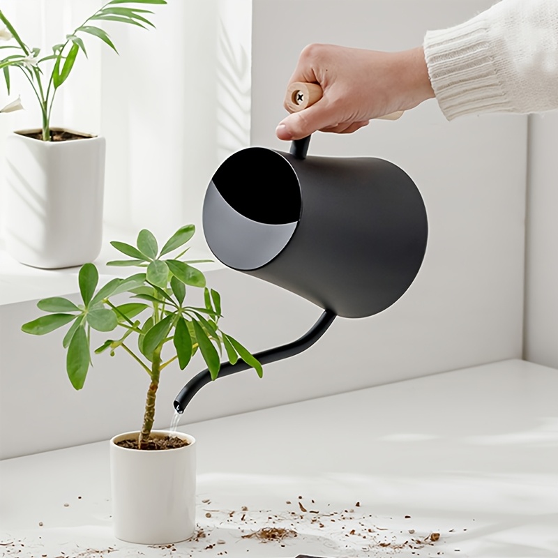 zimmerpflanzen online kaufen berlin Starter-Set | plus kleines Geschenk