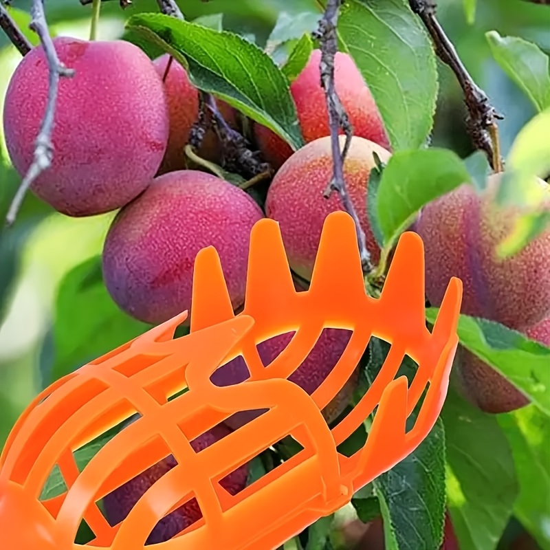 E-shop Obstpflücker für Höhenlagen, Kunststoff-Garten-Erntemaschine für Miška, Lorbeerbeere, Pfirsich, &