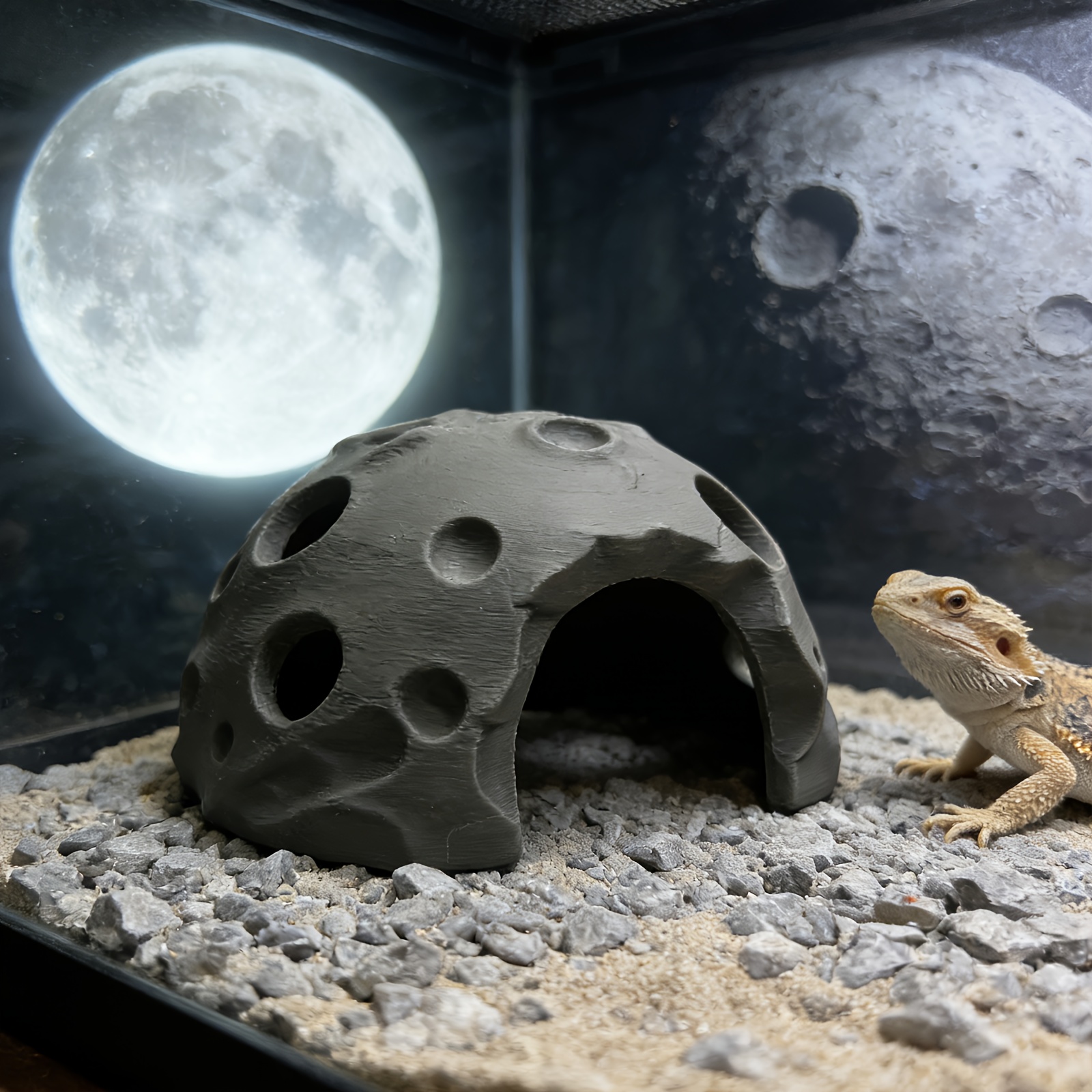 Dreamy Moon Rock Cave Shaped Amphibian Hideout