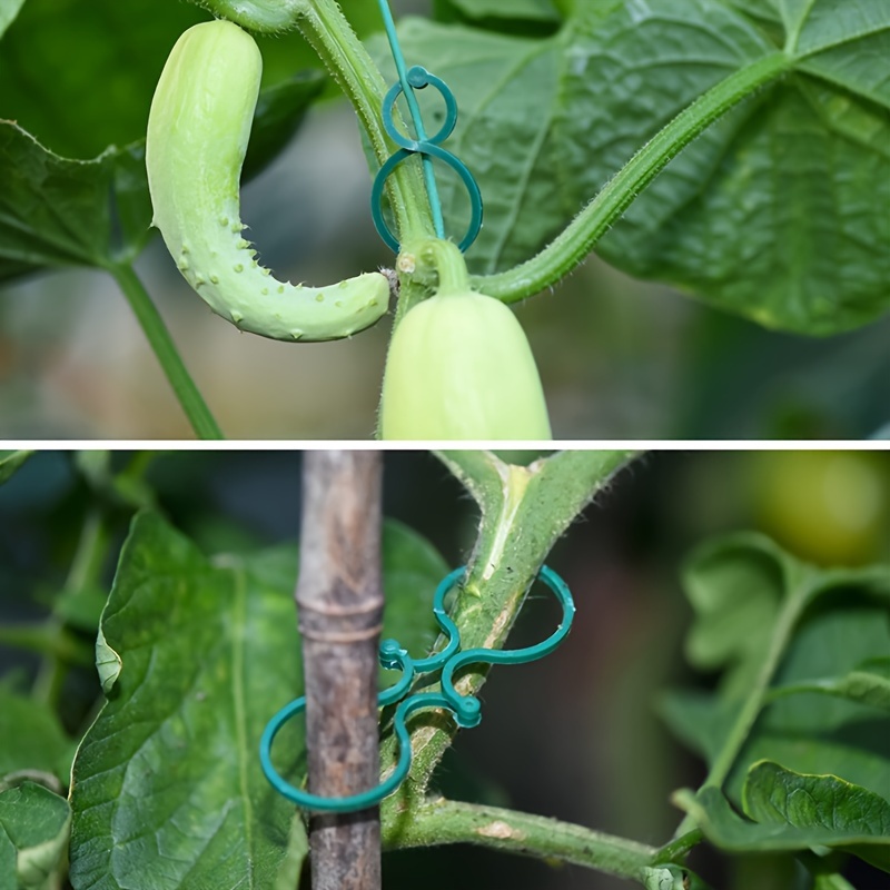 20/50/100pcs Green Plastic Plant Clips for Climbing Plants - Durable Garden Support Clips for Tomatoes, Vegetables & Flowers, Secure Plant Stakes for Healthy Growth, Easy to Use & Remove, Garden Plant Support, Flower Stability, Sturdy Construction, Vegetable Stakes, Tomato Trellis, Lightweight Clips, Weatherresistant Material, Plant Tie Clips, Garden Stake, Home Gardners, Florist Supplies