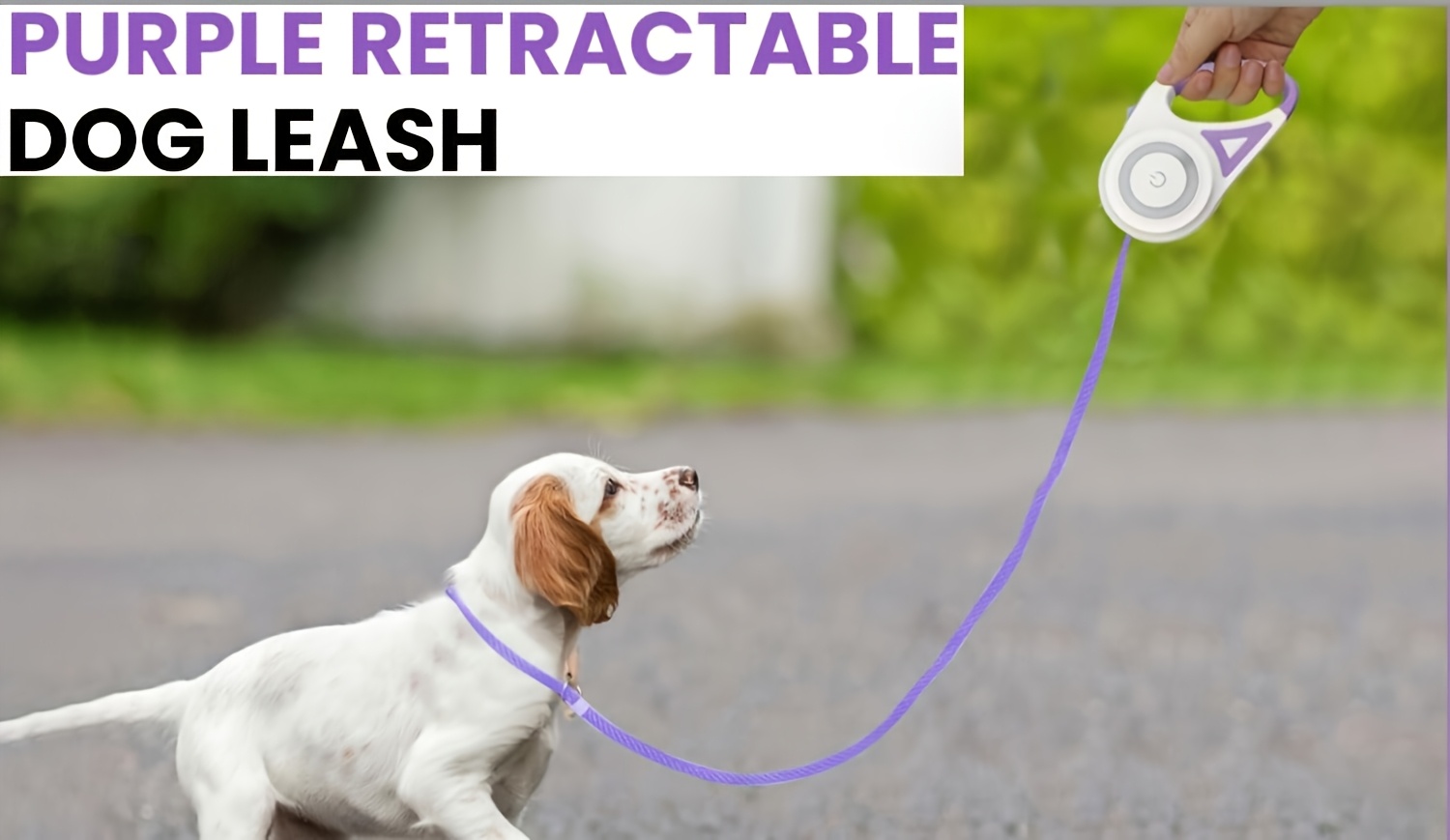 16ft 5m Retractable Dog Leash with LED Flash Light - 6 Color Streamer Conversion, Durable ABS Material, Battery-Powered for Nighttime Walks, Purple&Orange Options, Outdoor Pet Accessory | Sleek Pet Leash | Ergonomic Design, Leash for Dogs