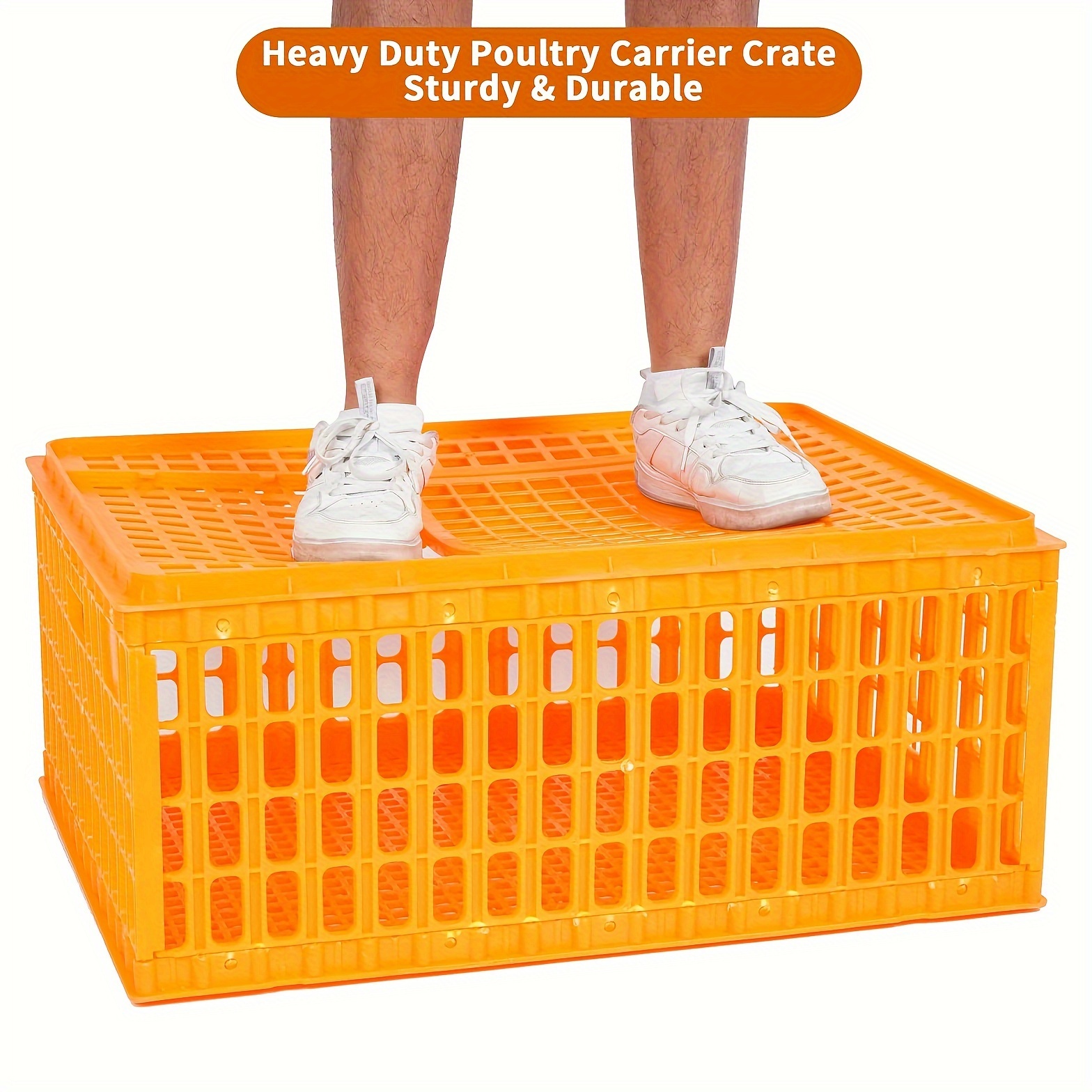 1pc heavy duty plastic poultry transport crate large capacity sturdy and durable top push pull door suitable for adult chicken duck goose details 2