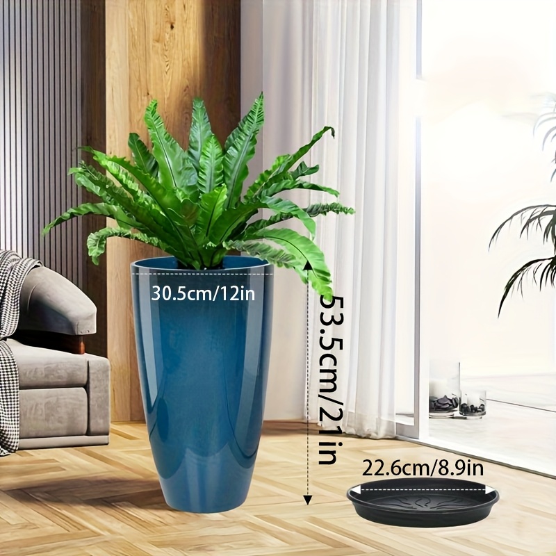 dracaena milky way Dracaena surculosa 'Milky Way' main image 0