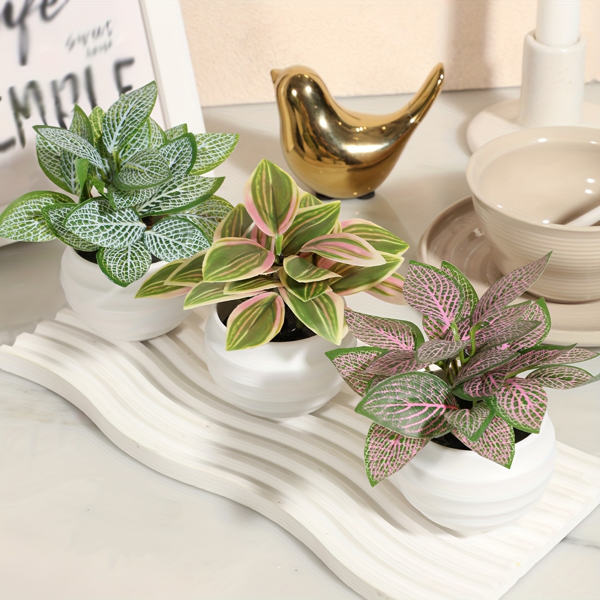 3er set knstliche topfpflanzen geflschte bltter fittonia - Temu Germany
