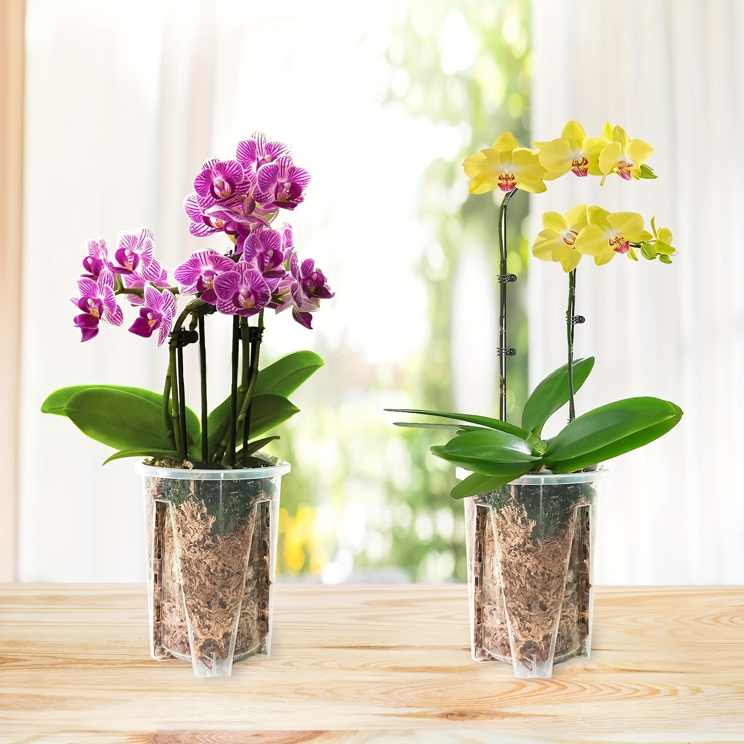 

5pcs Orchid Flower Pot, Orchid Flower Pot With Holes, Plastic Transparent Orchid Flower Pots, For Reintering, Indoor And Outdoor