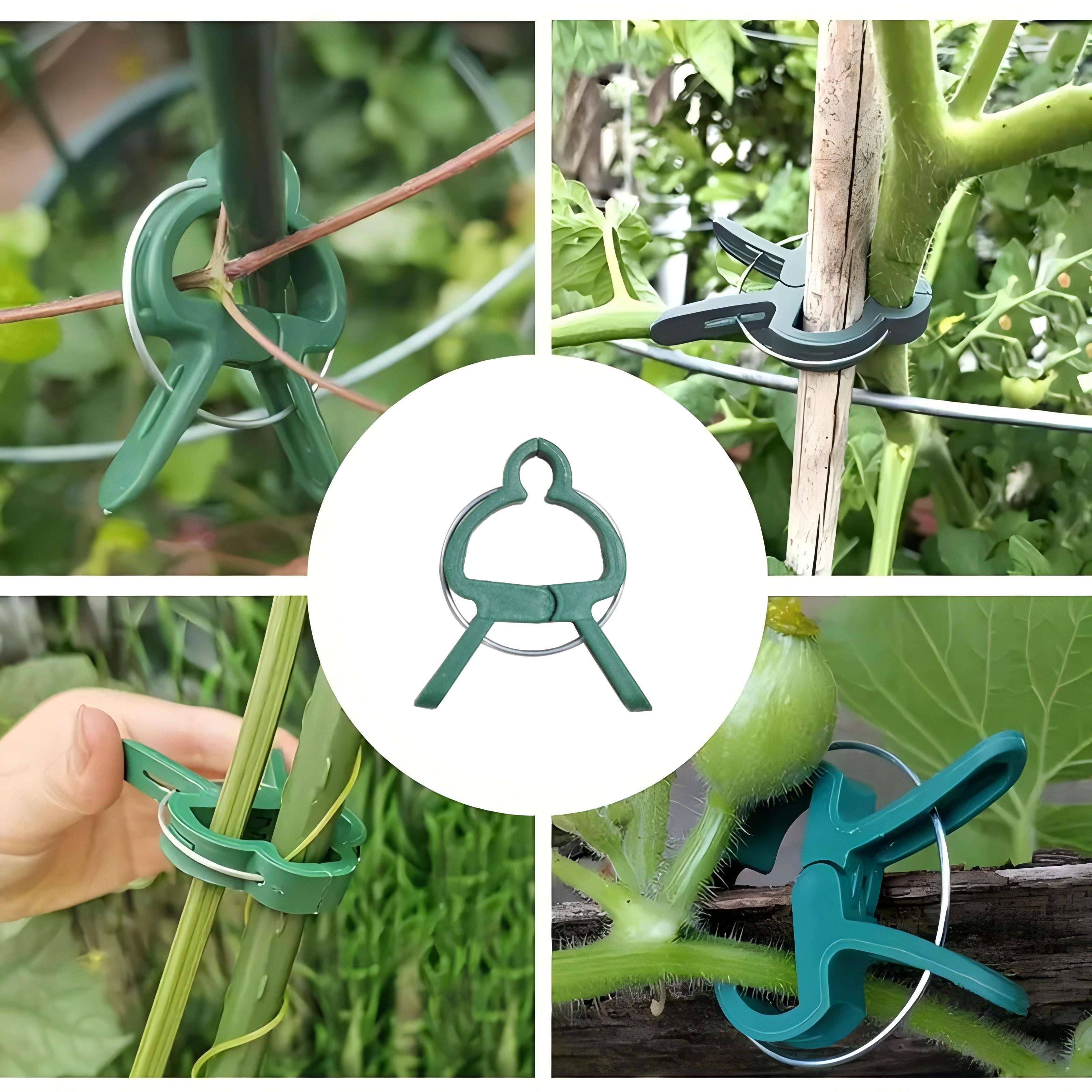 50/30/10pcs Adjustable Plant Clips - Reusable Garden Support For Flowers, Vines, Vegetables & Tomatoes - Durable Plastic, Essential Gardening Tools
