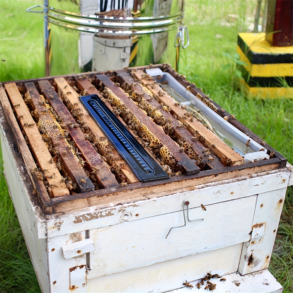 Beetle en Plastique pour Ruche, Outils d'apiculture, pièges à
