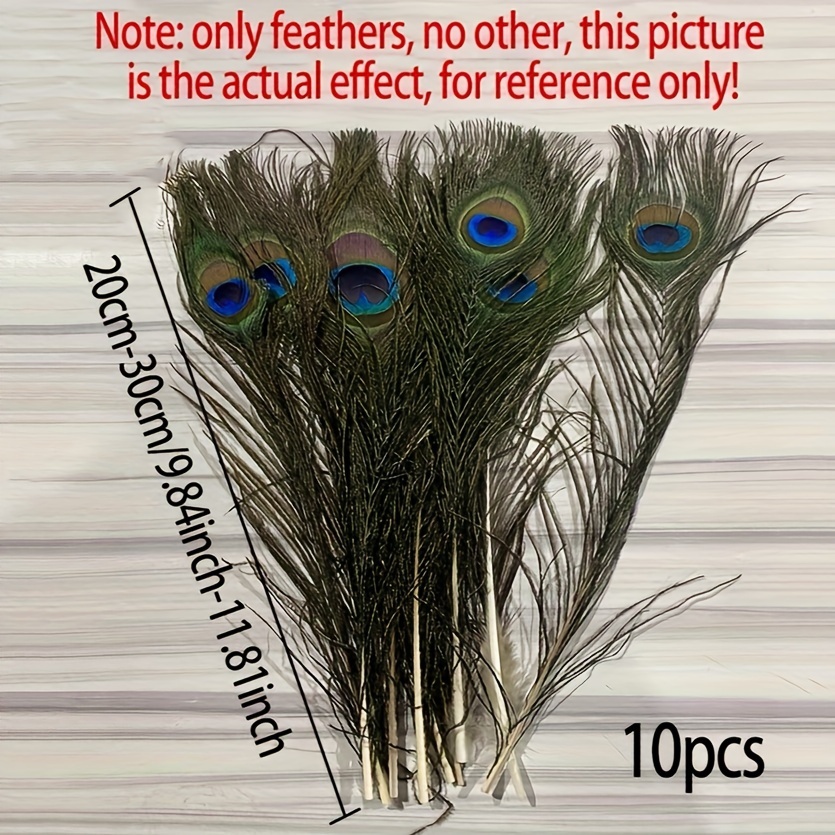 COOLL 10Pcs Peacock Feathers Attractive DIY Creation Natural Peacock Eye  Tail Feather for Party