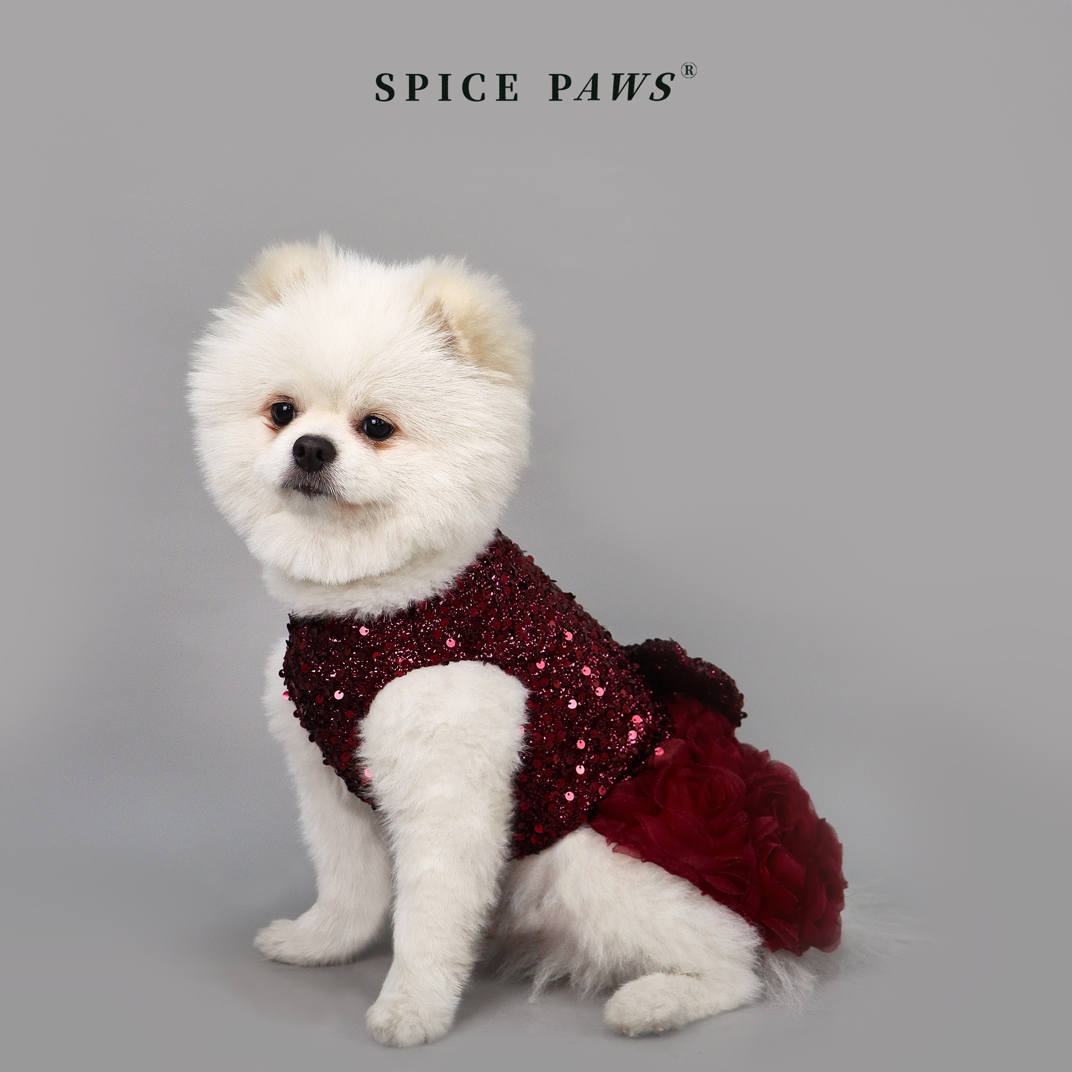 sachin and babi light blue dress sparkling sequin 3d rose dog dress bow accent elegant