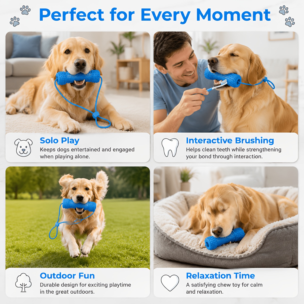 pet   and chew stick chew resistant dog teeth brush for cleaning   tied to dogs mouth to help   prevent scratching dog   stick dental cleaning and brushing in one suitable for small to large dogs Product details 2