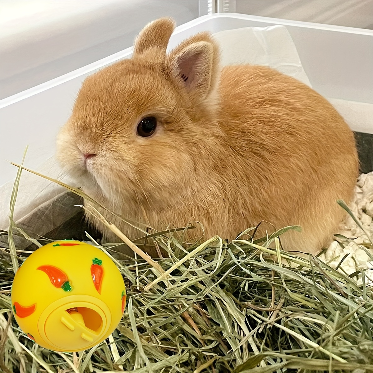 1pc/2pcs • Rabbit Carrot Treat Dispenser Ball • Random Color