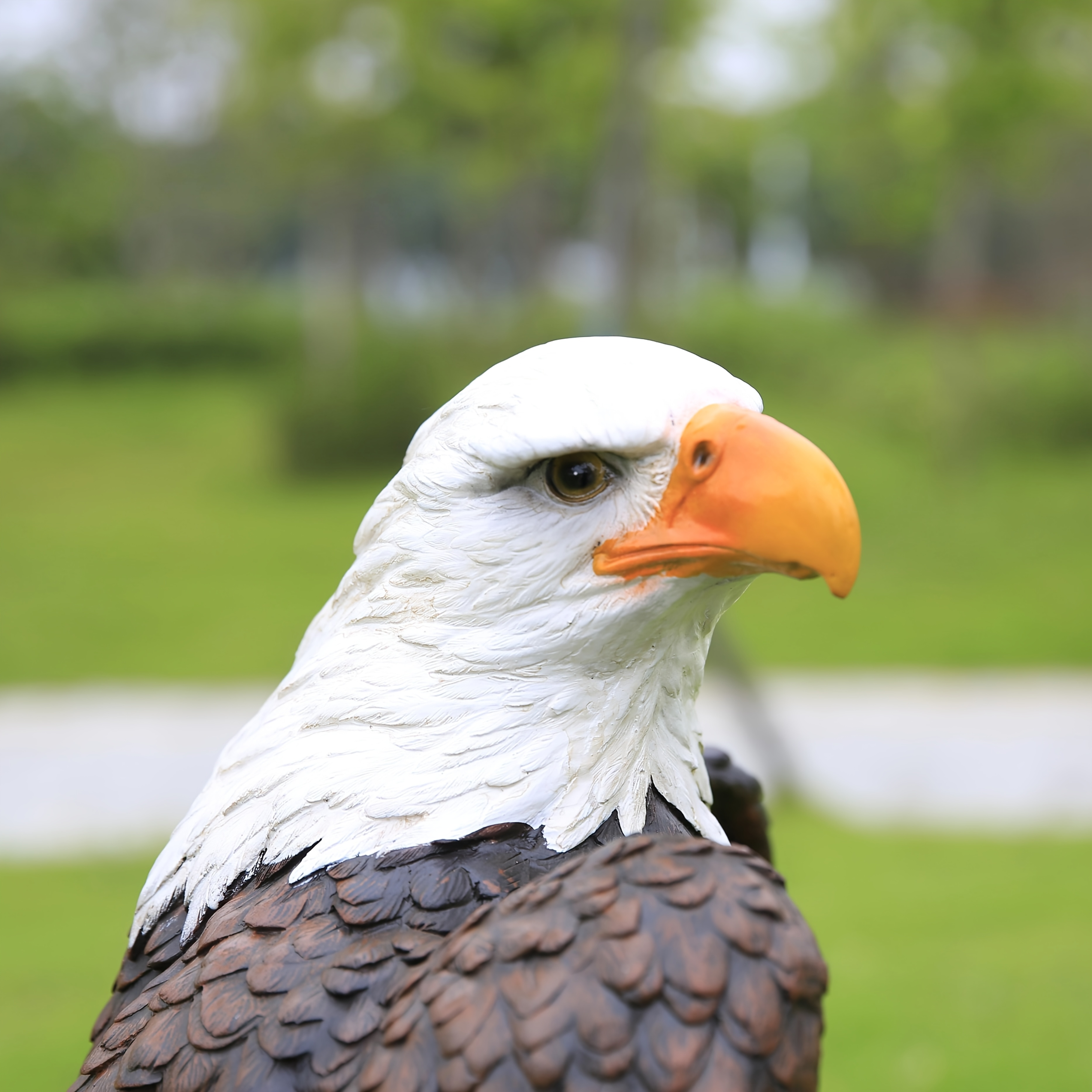 Bald Eagle Garden Statue 7