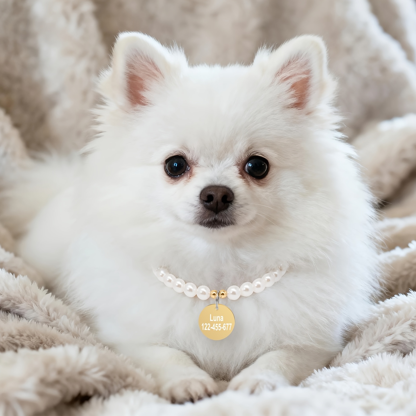 Customizable Pet White Ball Bead Collar Necklace, Cute Scarf Accessory