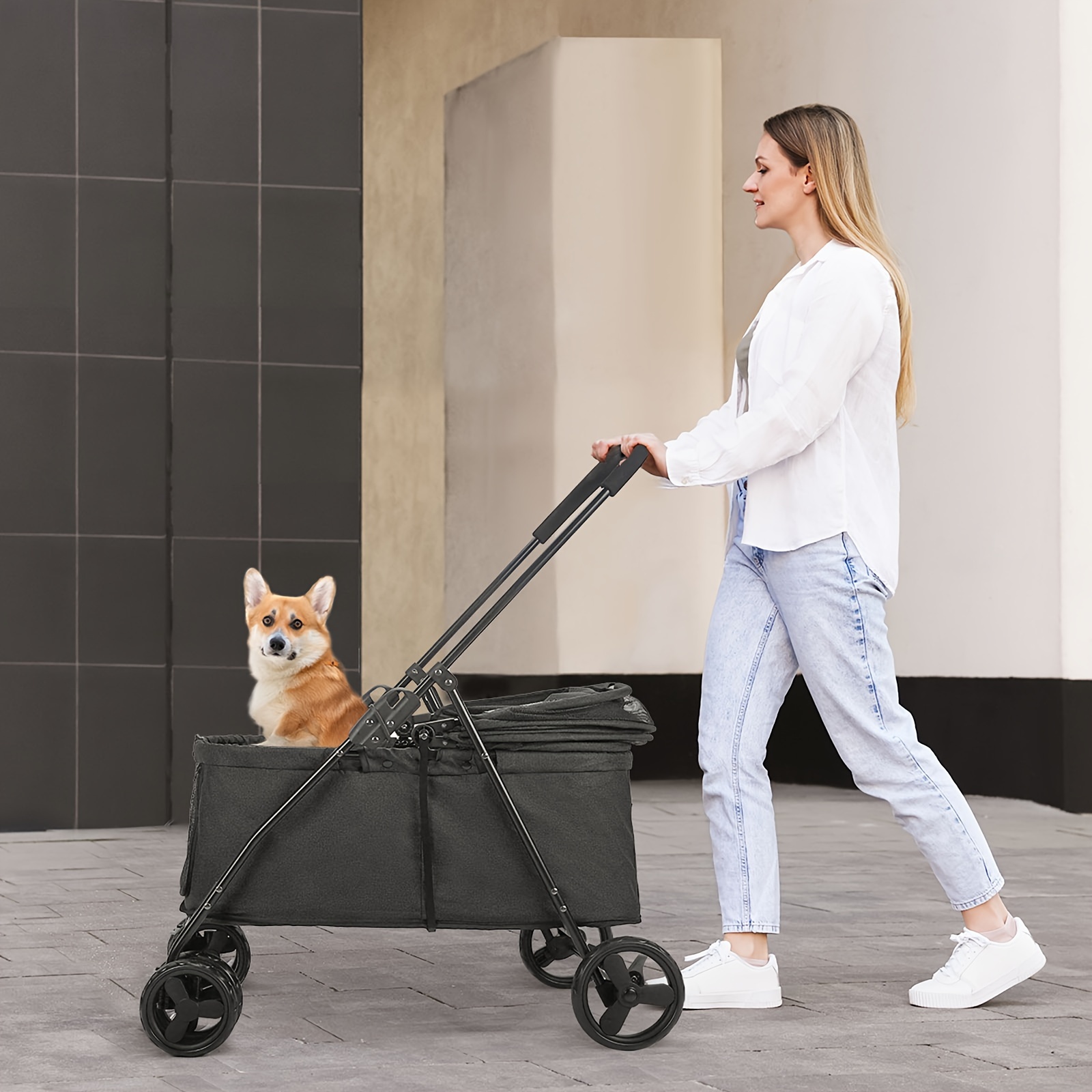 Small and Medium-Sized Pet Carrier, Spacious and Comfortable