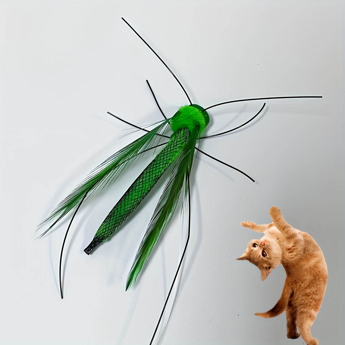   feline   featuring a lifelike insect design complete with a lengthy and synthetic feathers made from durable plastic   battery       and exercise for indoor kittens Product details 8