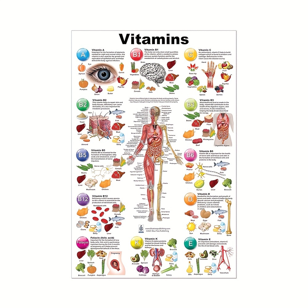 

Print Painting, Modern Vitamins & Anatomy Canvas Wall Art - Educational Poster With Vitamins, , And Functions, Bedroom & Living Room Decor, Ideal Gift For Health Enthusiasts, Room Decor