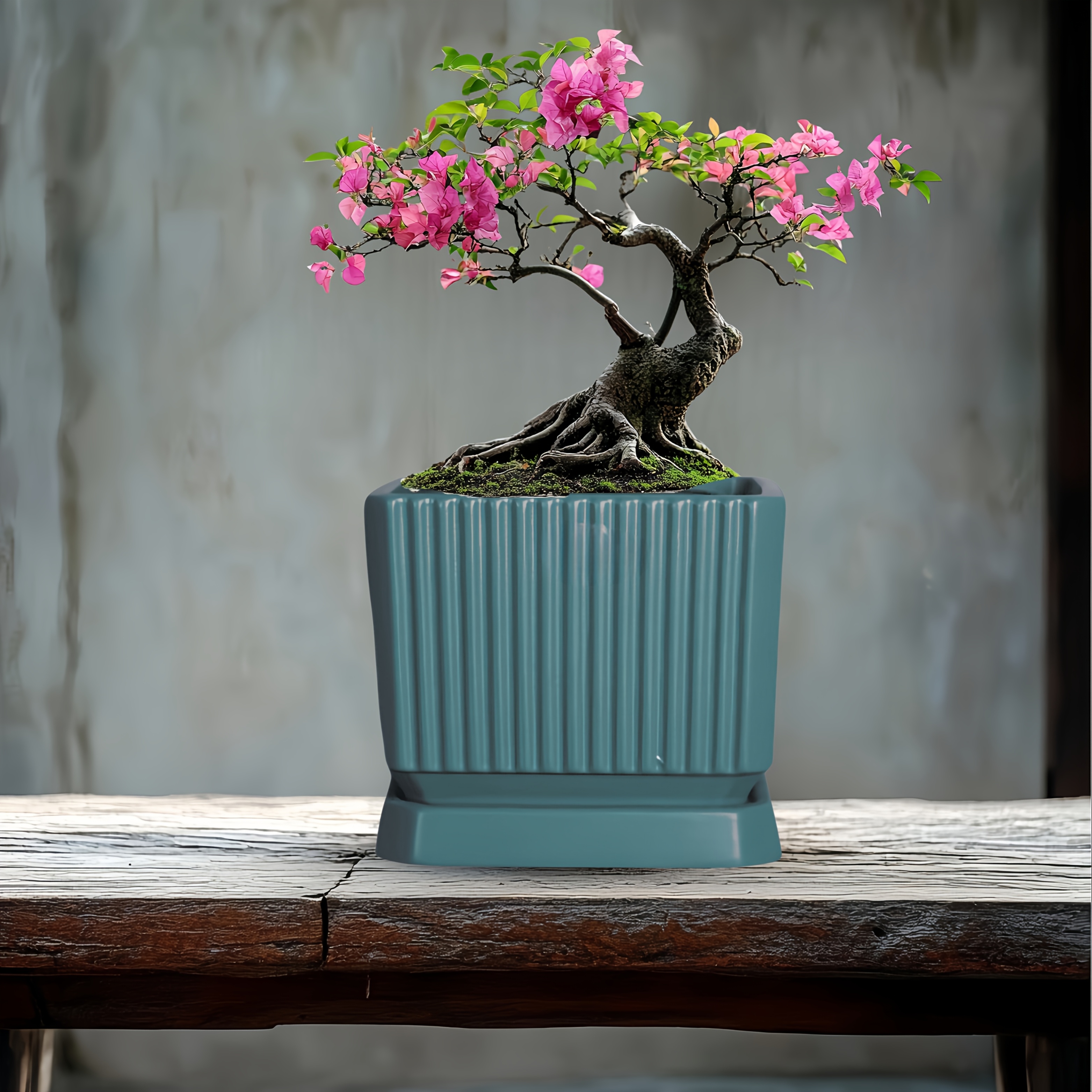 1個の現代的なセ 盆栽鉢 モダンな正方形の卓上 ー な屋内と屋外の