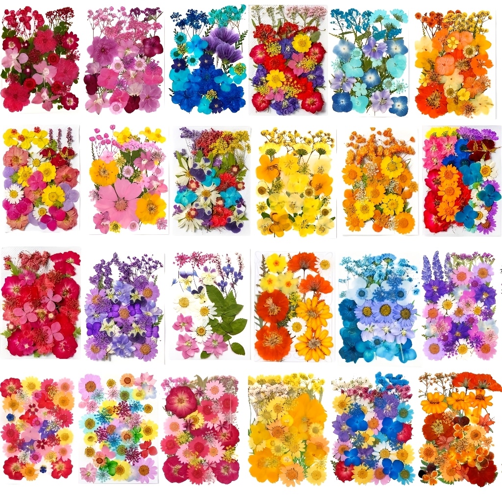 TEMU 250pcs Embossed Random Material Pack, Natural Dried Pressed Flowers For Nail Art, Paper Craft, Phone Case Diy, Art & Craft Projects, Jewelry