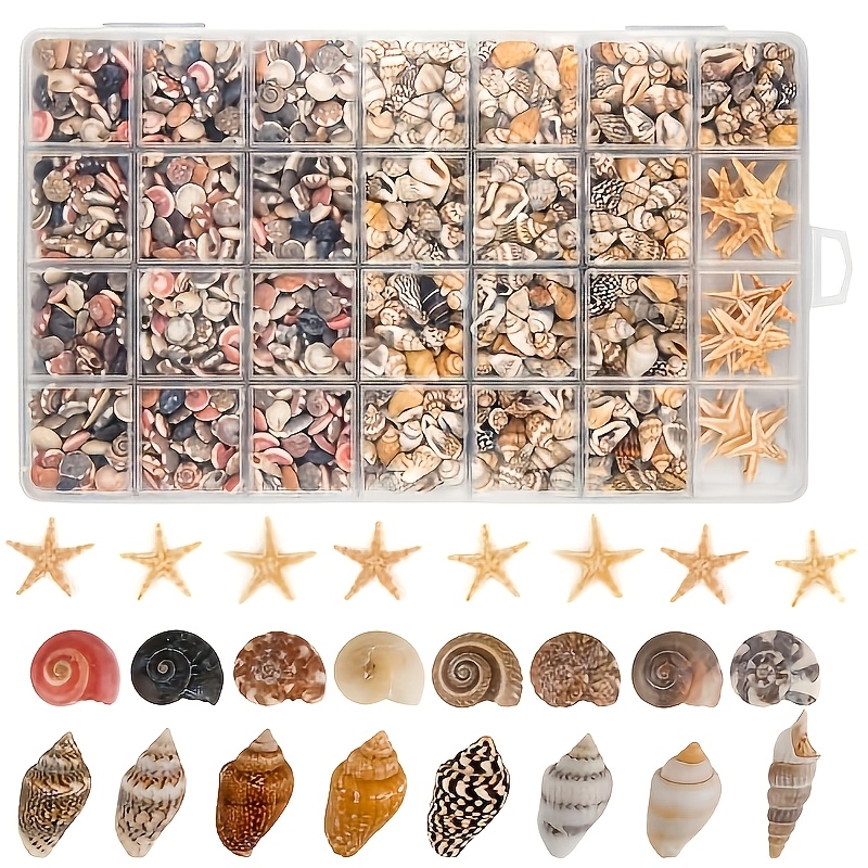 E-shop 1200 Mini Meeresschnecken und 21 Seestern, gemischtes Pack, eine große Anzahl an kleinen Schalen, geeignet für Heimdekoration,