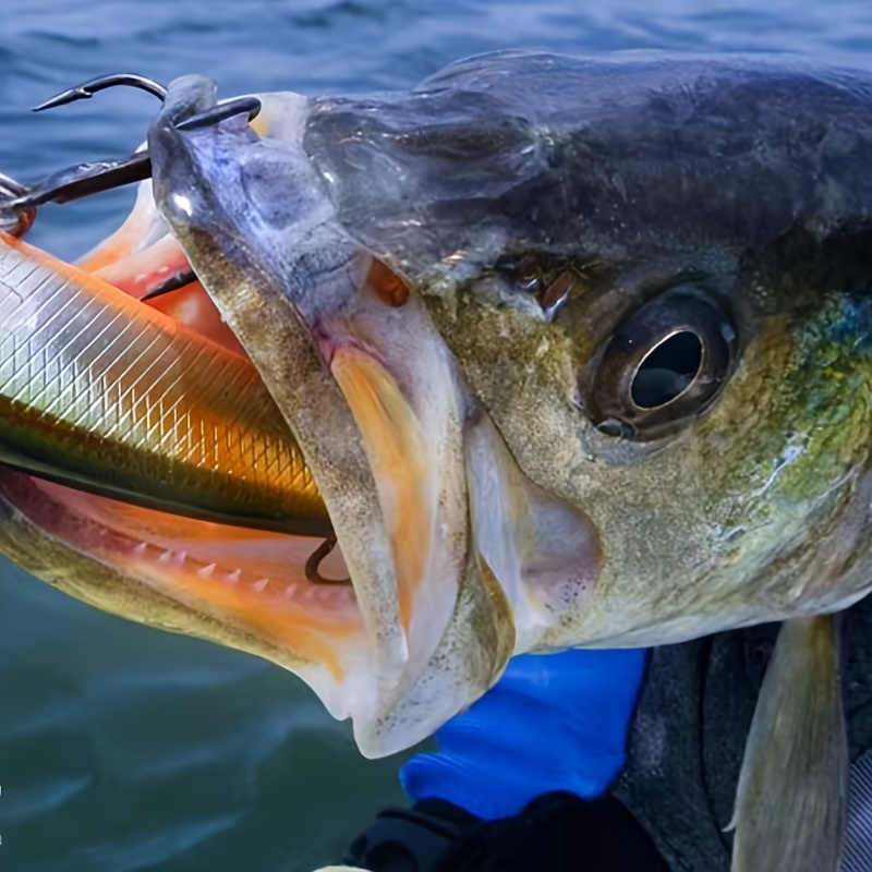 7 penn 309 level wind diawa beefstick fishing pole Daiwa Beefstick Conv Rod 1 Piece 7Ft Medium Heavy XF