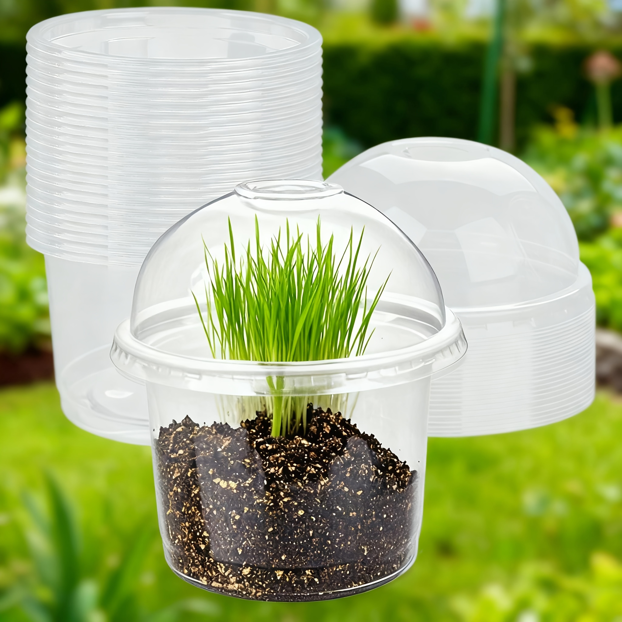 indoor terracotta plant pots Hawaiian Sunshine Staggered Cane - 12