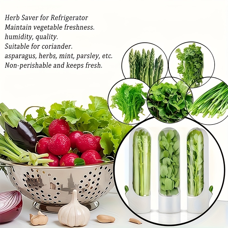 1pc of Herb Preservation Pod, a Container for Keeping Fresh Herbs Like Cilantro in The Fridge, Maintaining The Freshness of Herbs for 2-3 Weeks. Ideal for Home Kitchen Fridge Additions, Storage Boxes, And Organizers