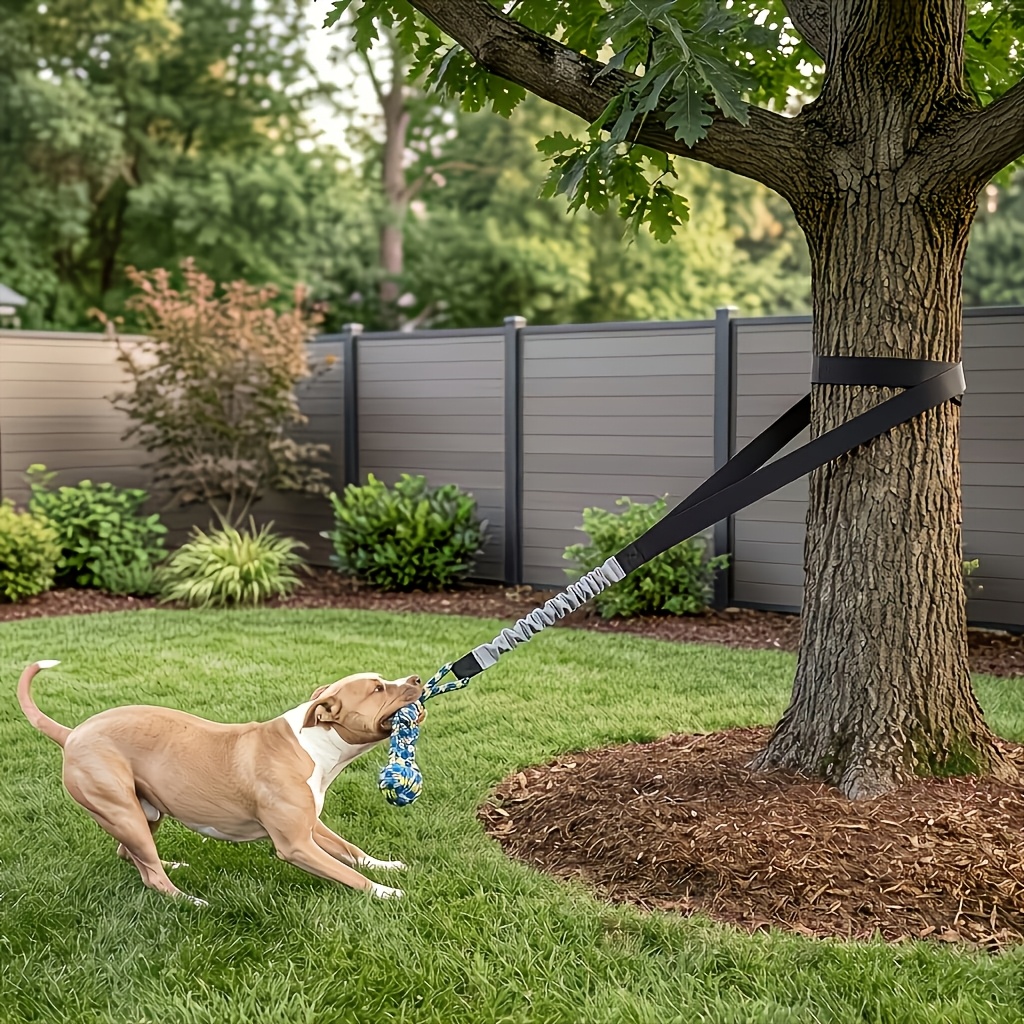 TEMU Juego de 2 piezas de juguete de elástico para perro para colgar, de cuerda para en árbol, juguete para interactivo resistente a mordeduras para