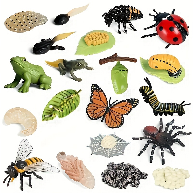 

62-piece Animal & Cycle Flash Cards Set - Educational Biology Science Resource For Students - Paper Material, No Battery Required - Uncharged Learning Tool For Natural Science Studies