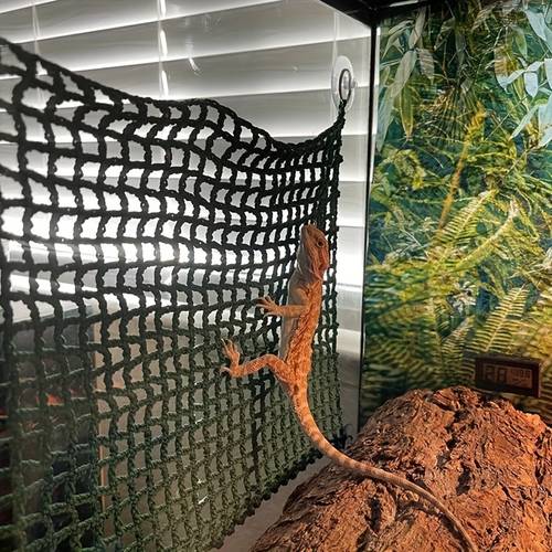 cozy handmade cotton rope reptile hammock bearded dragon lizards climbing net with secure hook and loop closure ideal for pet sleeping a warm habitat
