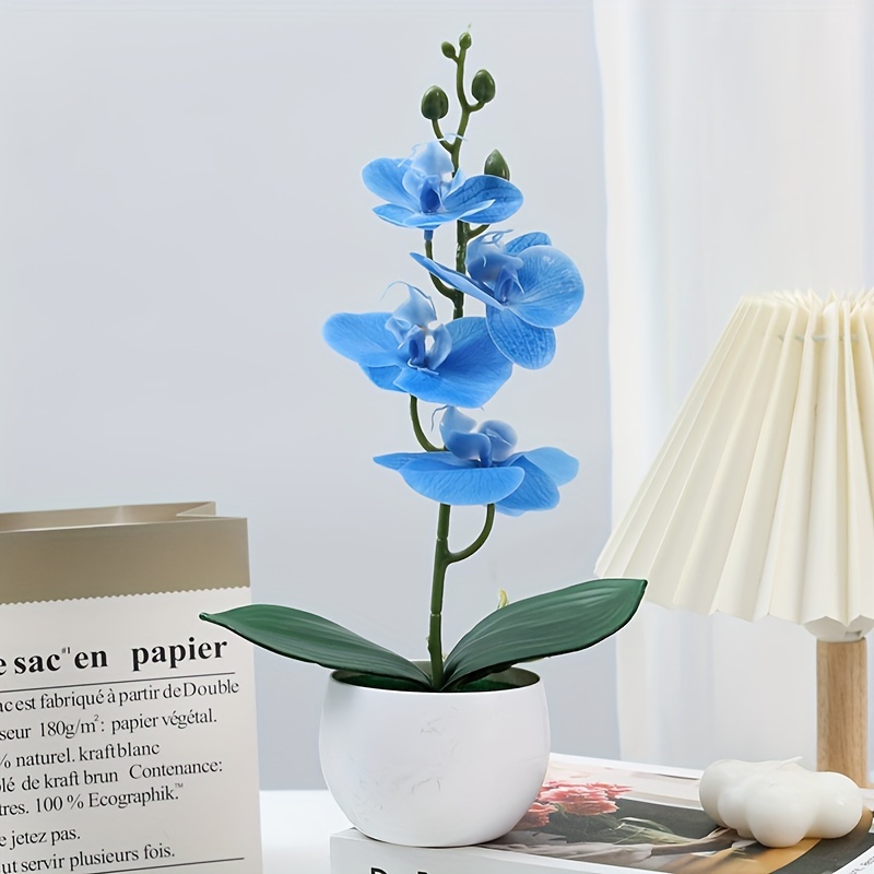

Pot - For & Restaurant Decor, Housewarming | No Battery Needed | For Halloween, Christmas, Easter, Day |