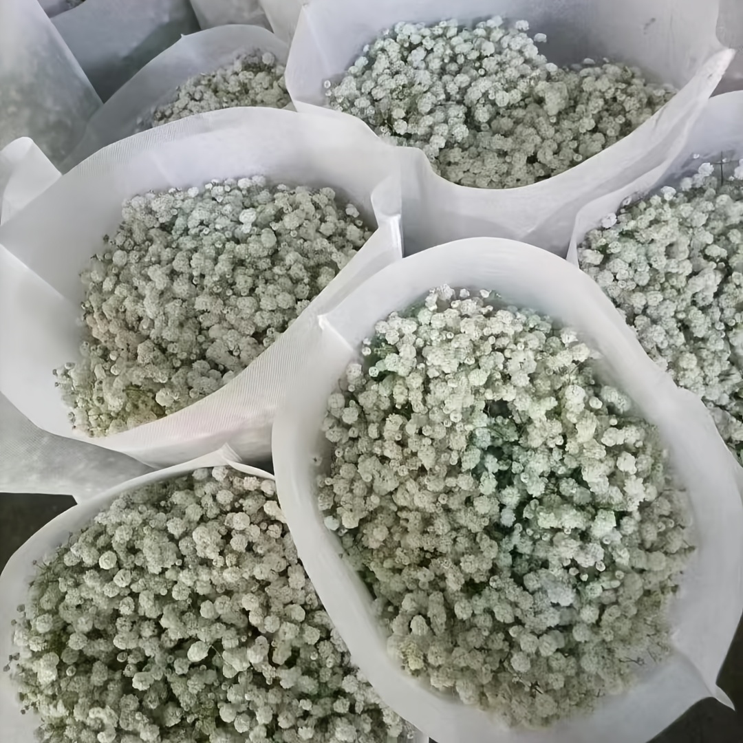 

25pcs Realistic Artificial Baby's Breath Flowers, White Gypsophila For Wedding Bouquets, Decor, Outdoor Garden Arrangements, For Holidays - Plastic, No Electricity Needed