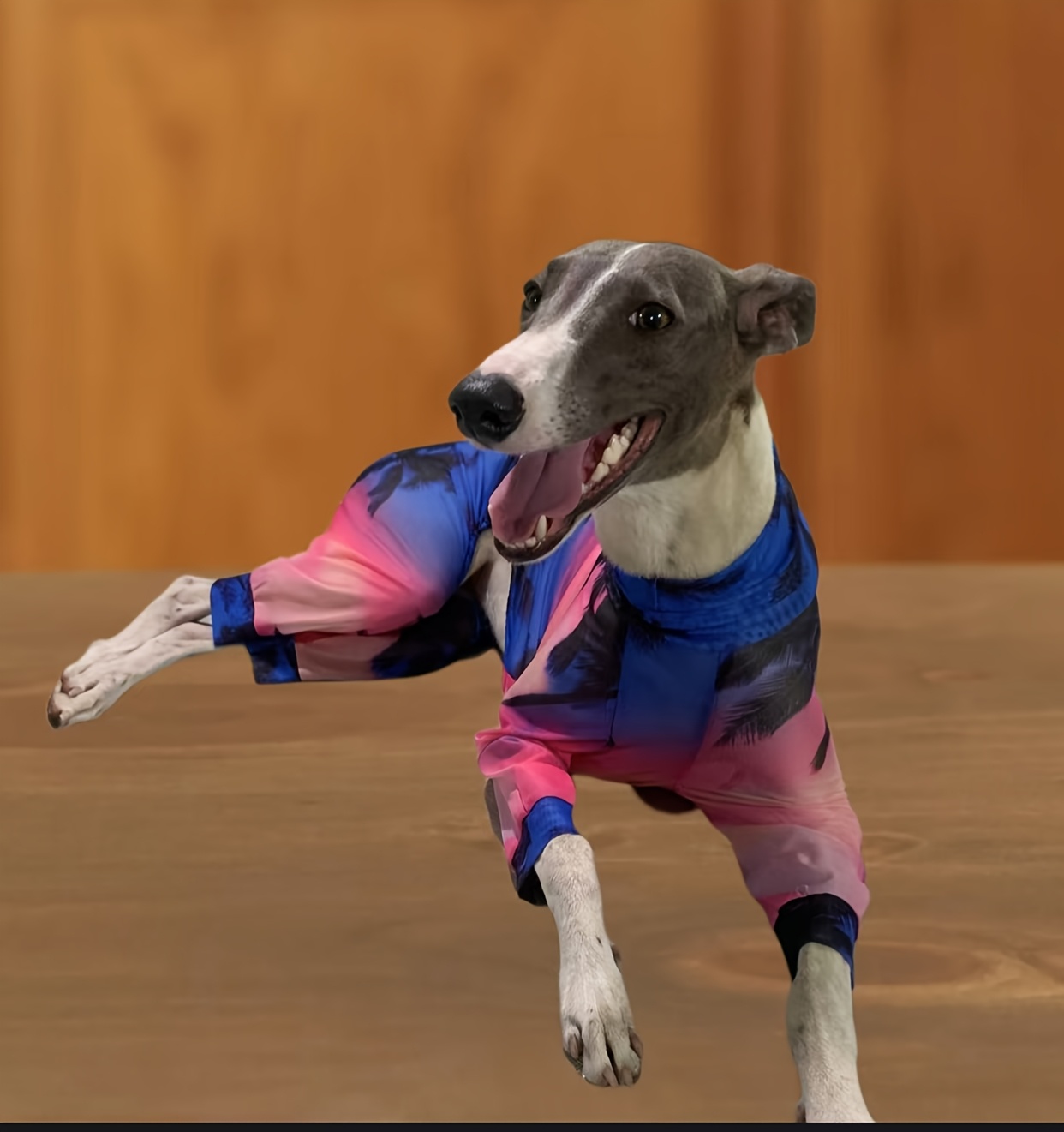 breathable mesh lace dog costume full coverage Temu Australia