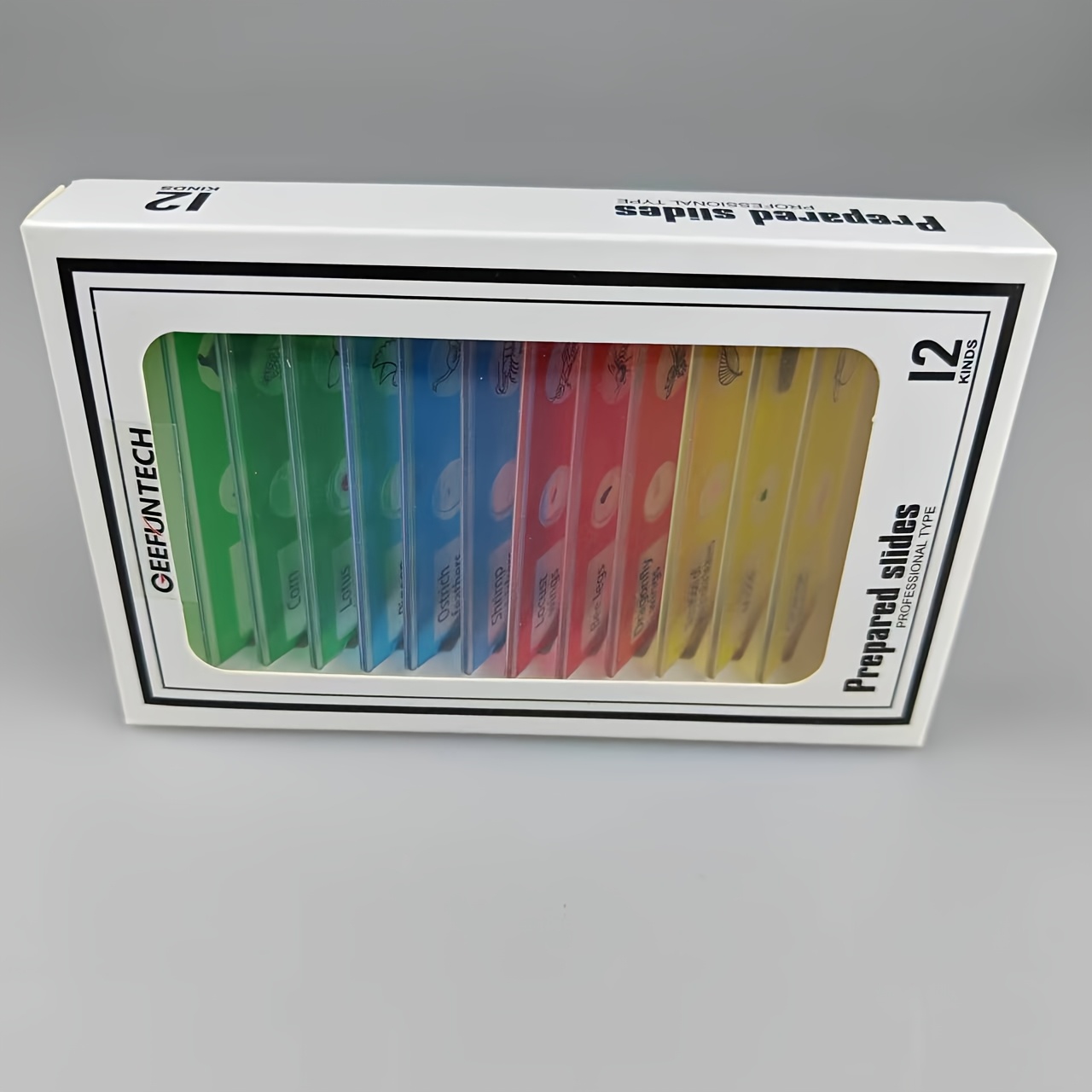 12pcs Plastic Prepared Microscope Slides Biological Specimen