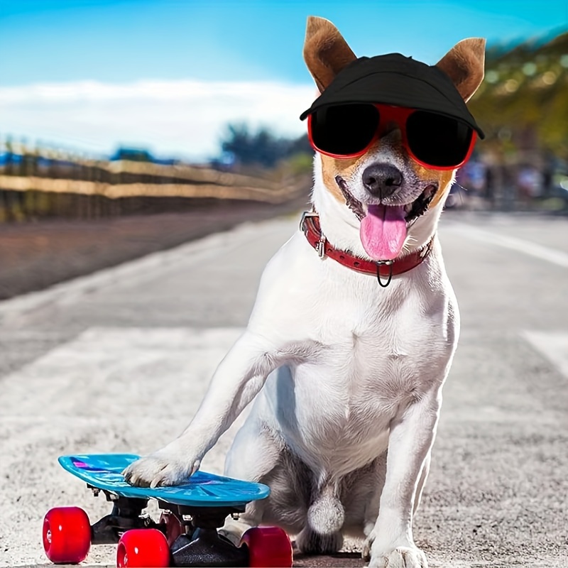 Visor dog on sale