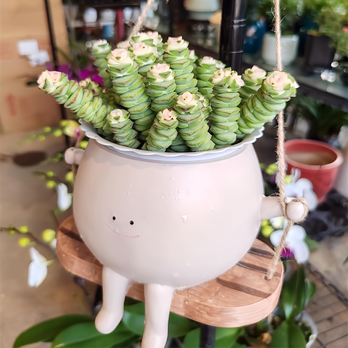 Swinging Planter Designed As a Face, Made from * Resin, Featuring Drainage  for Indoor And Outdoor Use. Ideal for Succulents Or String of Pearls *  Unique Pots Make * Gifts for Mothers Or During ...