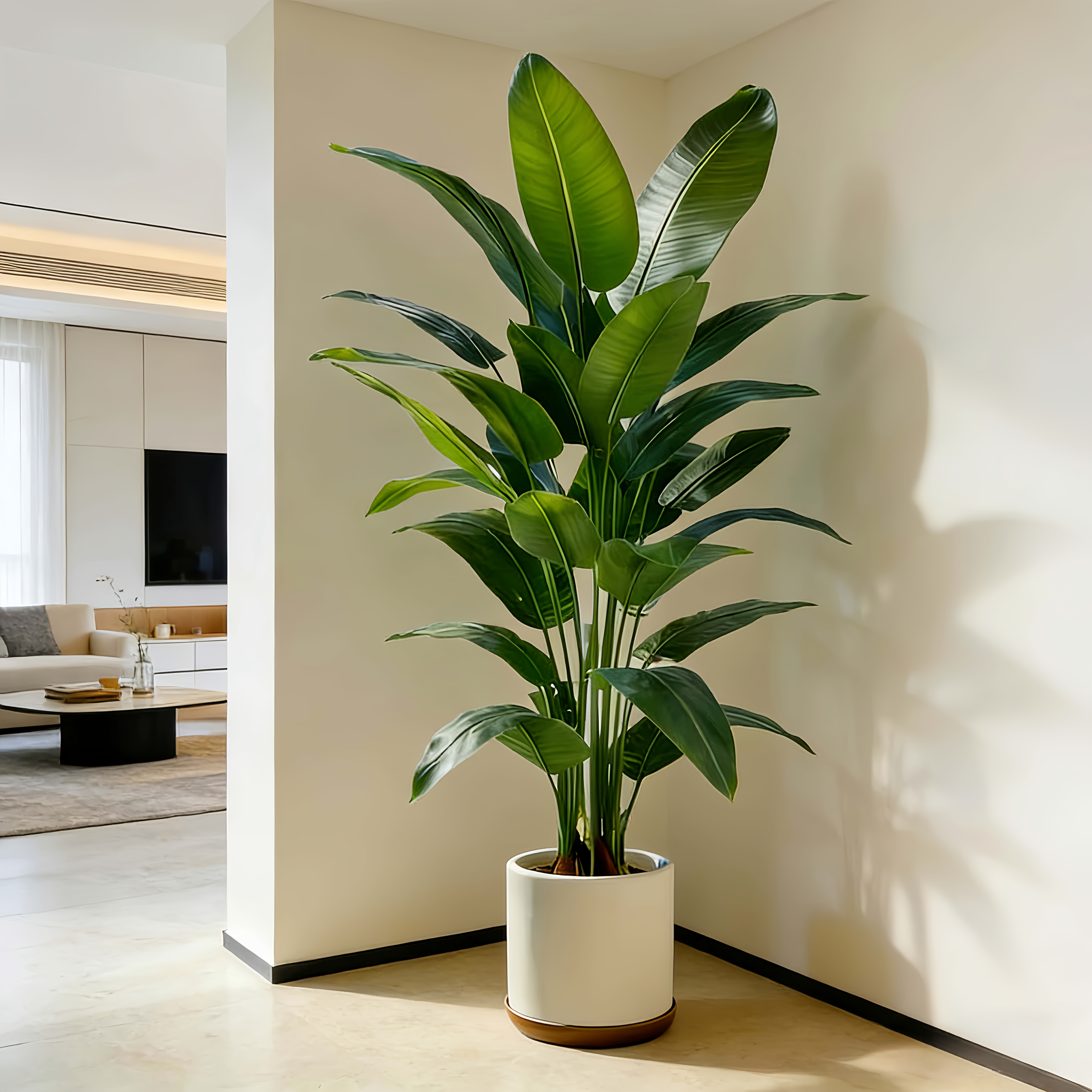 A Large Artificial Banana Tree That Requires Little Maintenance, Made of Plastic, Suitable for Both Indoor And Outdoor Use. It Perfectly Complements Gardens, Weddings, Homes, And Offices