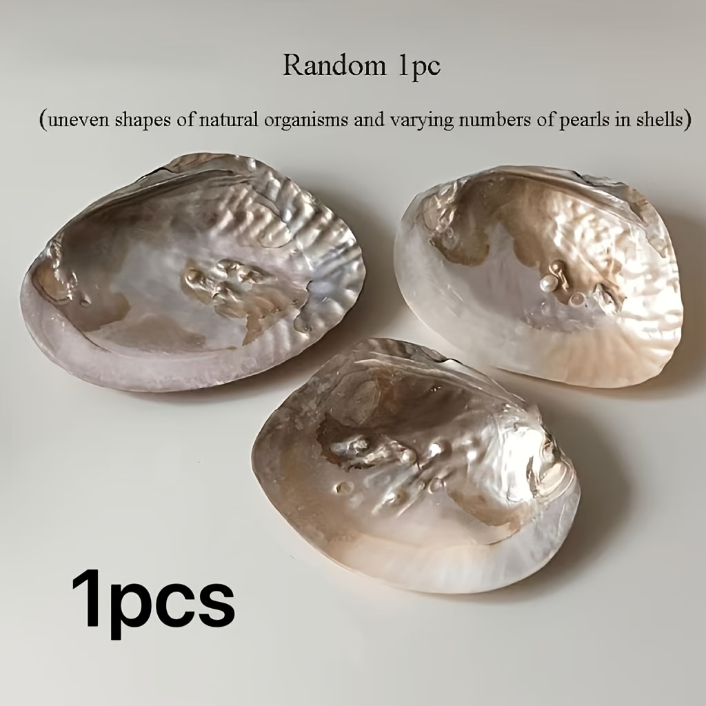 TEMU Natural Shell Pearl Decorative Tray, French Romantic Shell Dish, Fruit Plate And Dish, Jewelry Storage Tray, Table Ornament, Photo Prop, Ideal