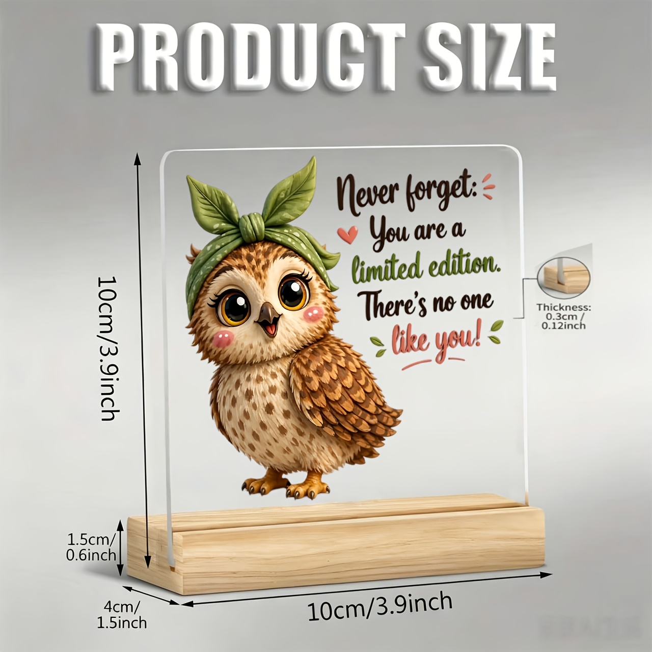 TEMU 1pc Cartoon Owl And "" Slogan Decorative Plaque And Ornament, Acrylic Decorative Ornament Suitable For Living Room, Bedroom, Memorial Corner And