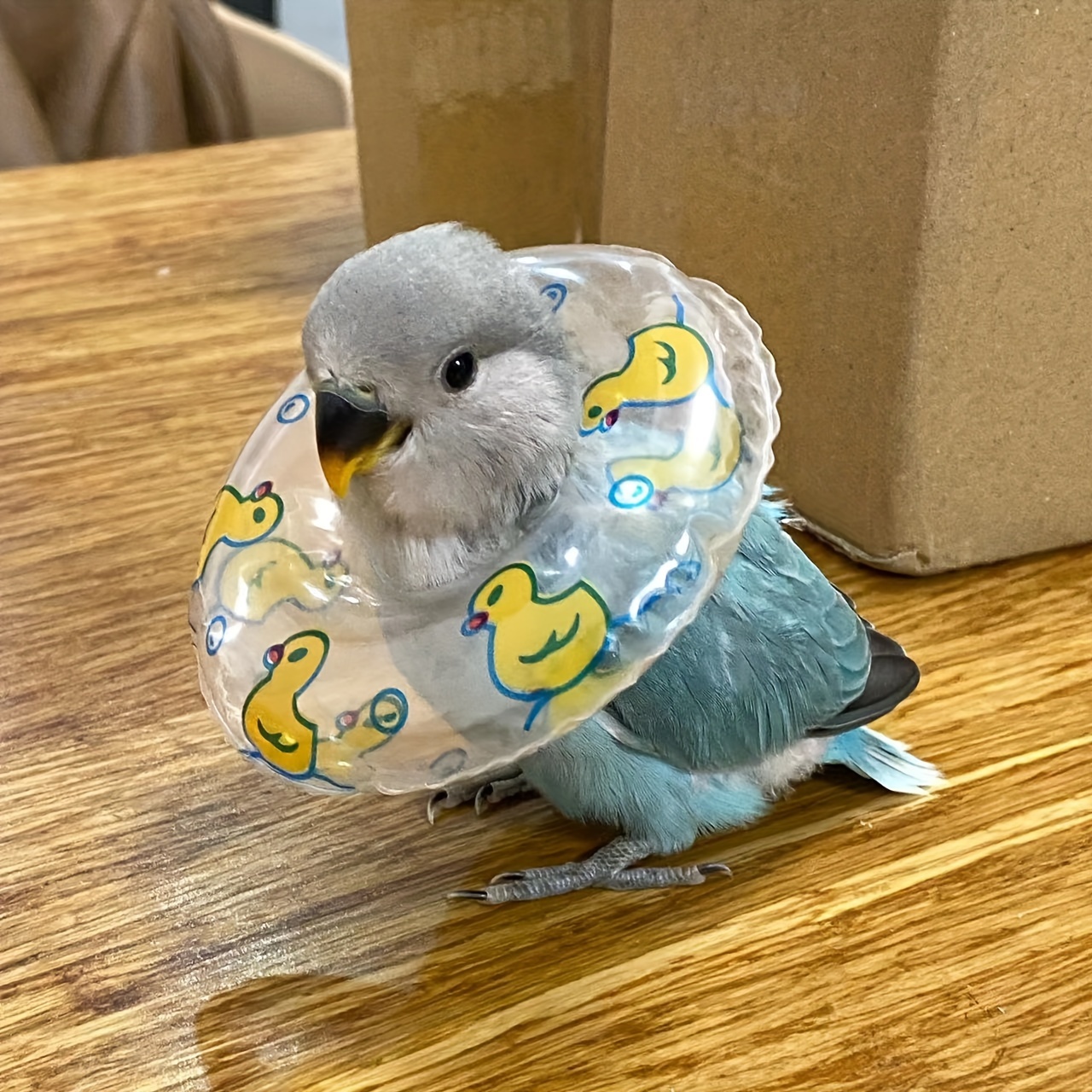 

5pcs Mini Inflatable Swim Ring Toy Set For Small Parrots, Pet Photoshoot Props, 3.54 Inch Diameter, Cute Duck Pattern Design, Random Colors Shipment