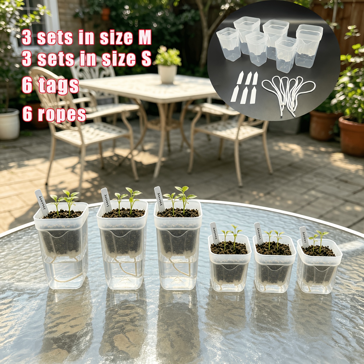 plants that look like money tree Chinese Money Tree Plant for Sale | Buy Houseplants main image 0