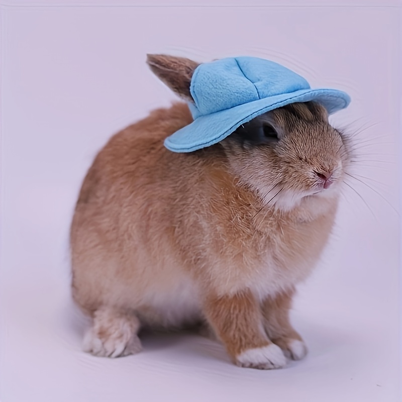 cat hat small pet hat decorative plush hat rabbit hamster - Temu