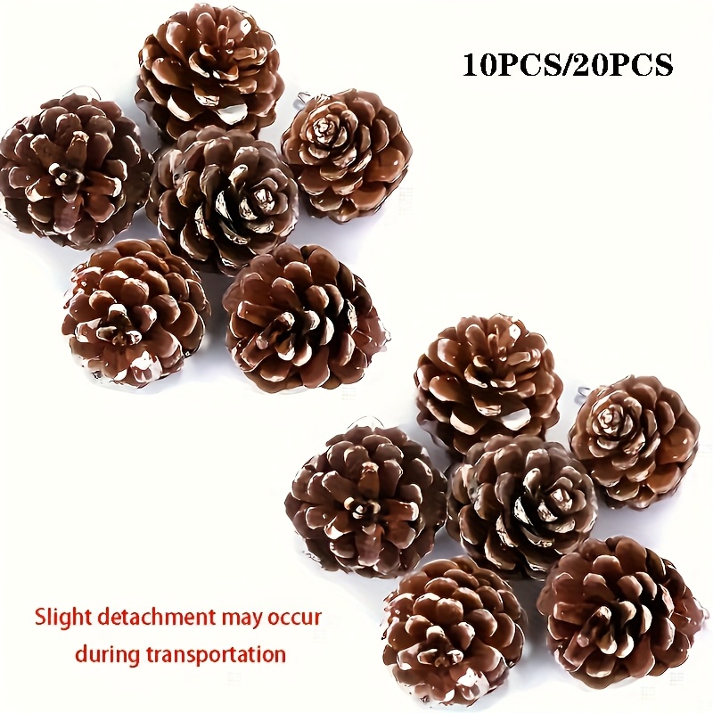 

10/20pcs, Christmas Decoration, White Edge Pine Cone Craft Set, Diy Projects And Home Decoration, Craft Ornaments Props, Thanksgiving, Christmas Decoration, 3-4 Cm/1.18-1.57 Inches