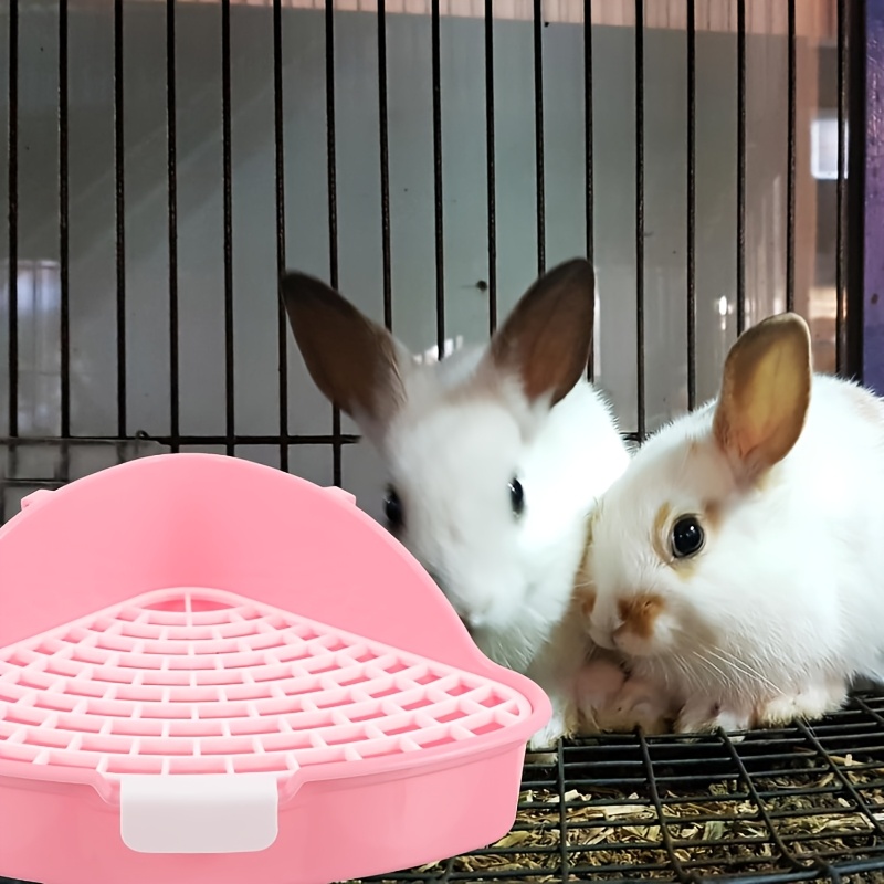 89aaae81 7a32 473b A7bd 1f71a173b1ec