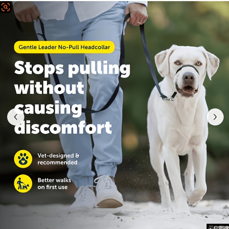 Adjustable Dog Mask and Reflective Leash Set for Training