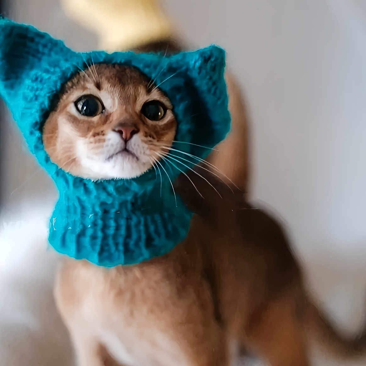 TEMU Hand-crocheted Pet Hat, Cute Kitten Hat, Elf Cat Hat