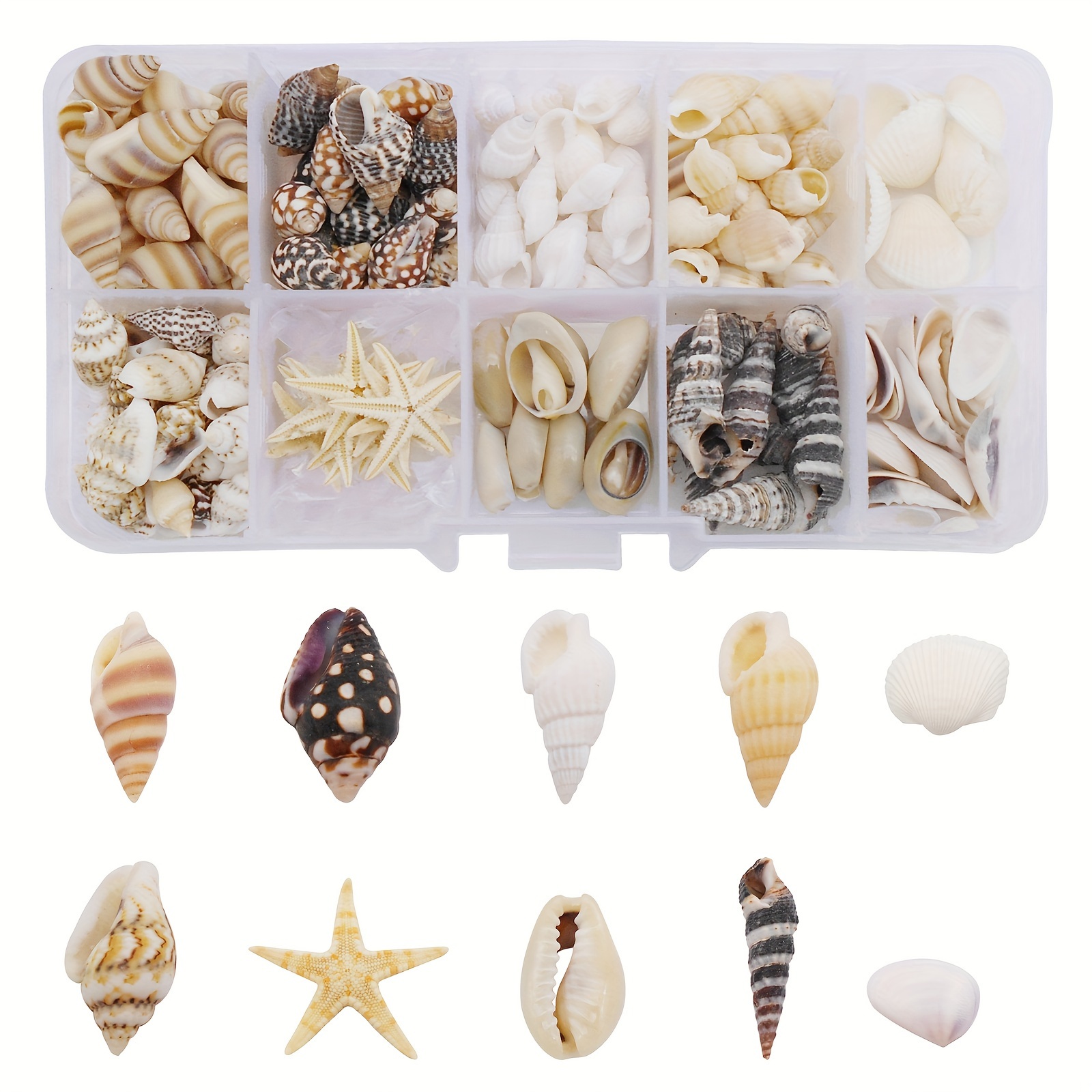 

1box About 180-200pcs Starfish Seashells Conch Craft Charms Beads Shell Beads For Diy Jewelry Making Home Decorations Party Candle Wedding Decor Diy Crafts