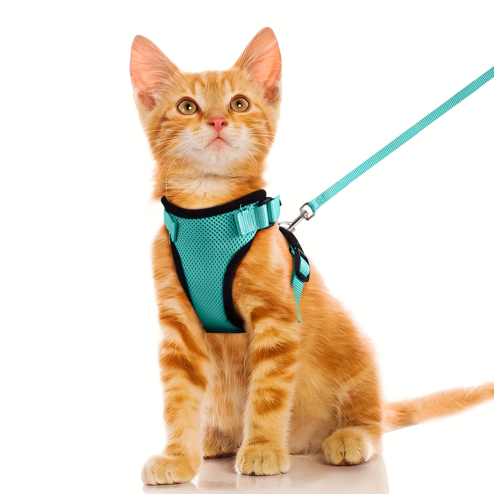 Atmungsaktives Mesh Katzengeschirr Mit Leine Set - Ausbruchsicher, Verstellbar, Atmungsaktiv Für Outdoor Verstellbares Katzengeschirr