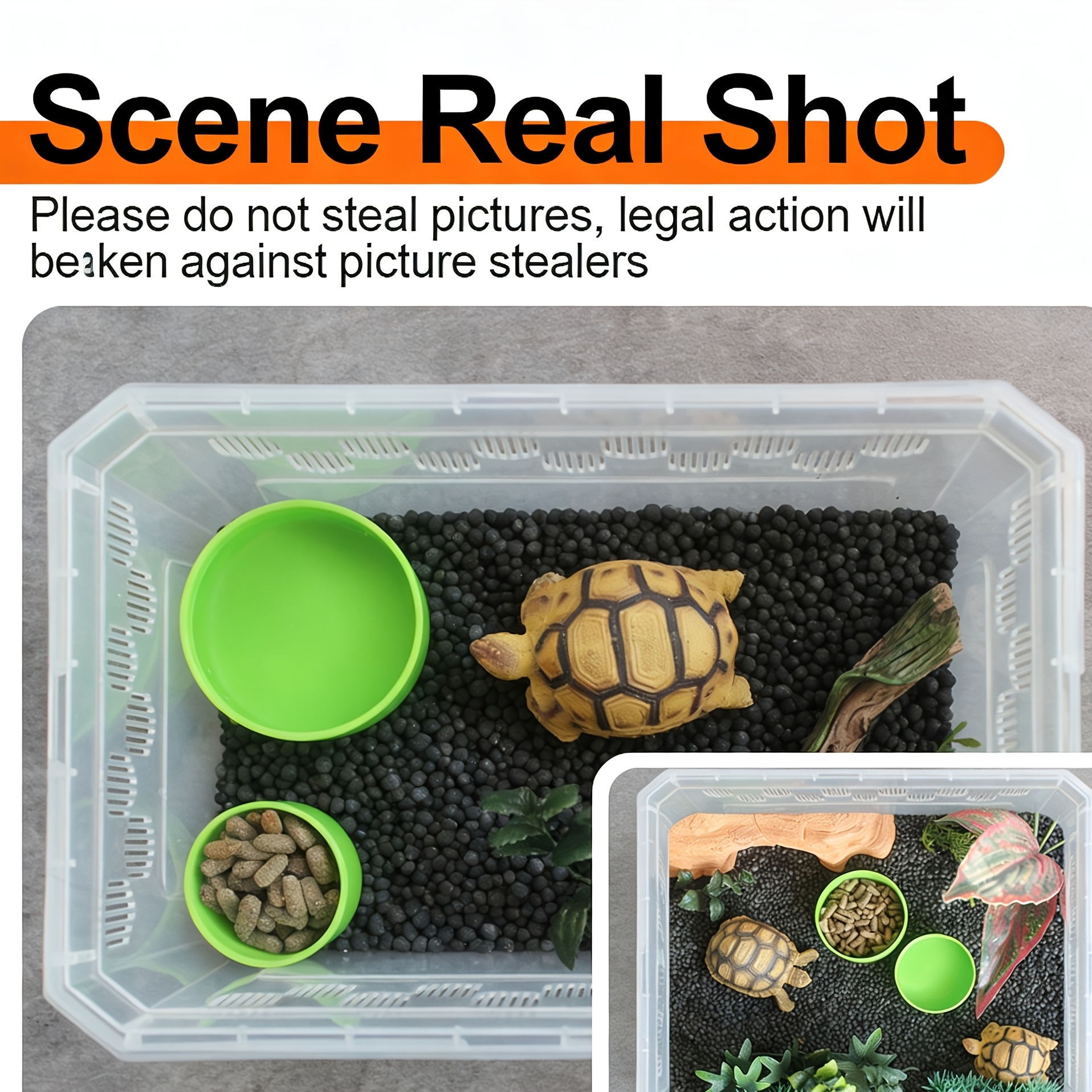 Reptile Feeding Small Scale Monitor Lizard Snake Rainforest Scorpion Spider Pet Reptile Feeding Bowl Water Bowl - Image 6